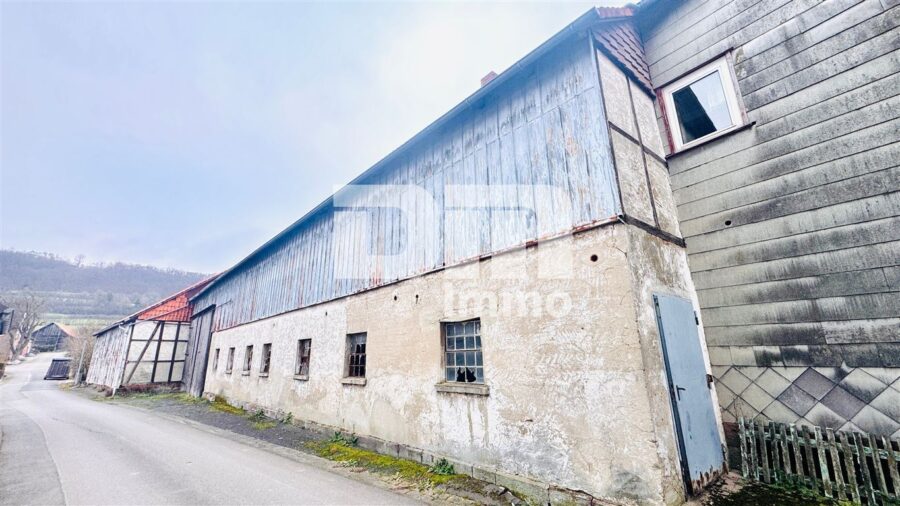 Wohn / Gewerbe Ensemble mit Wohnhaus, Stallgebäude, großer Scheune sowie Nebengebäude - Seitenansicht Stallgebäude / Scheune / Zufahrt Hof